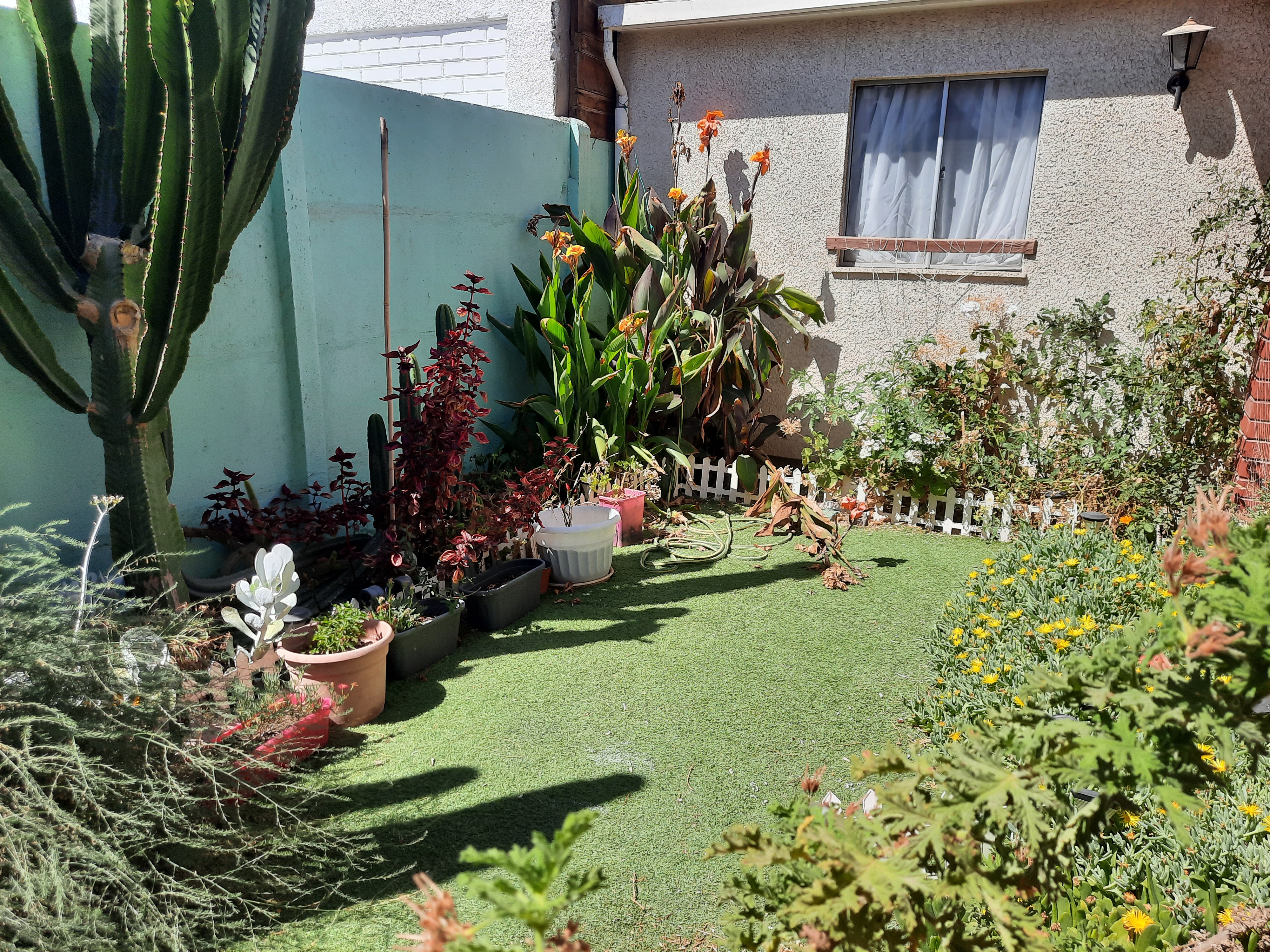 Foto 42