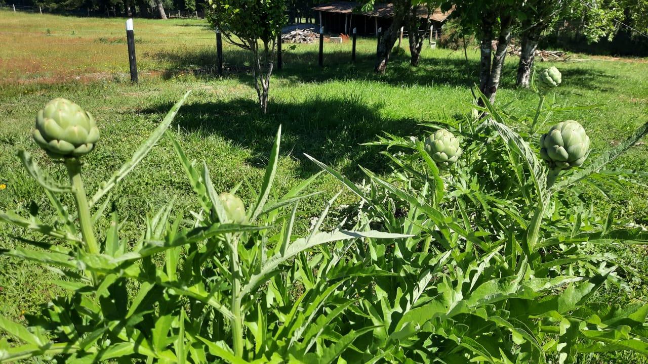 Foto 14
