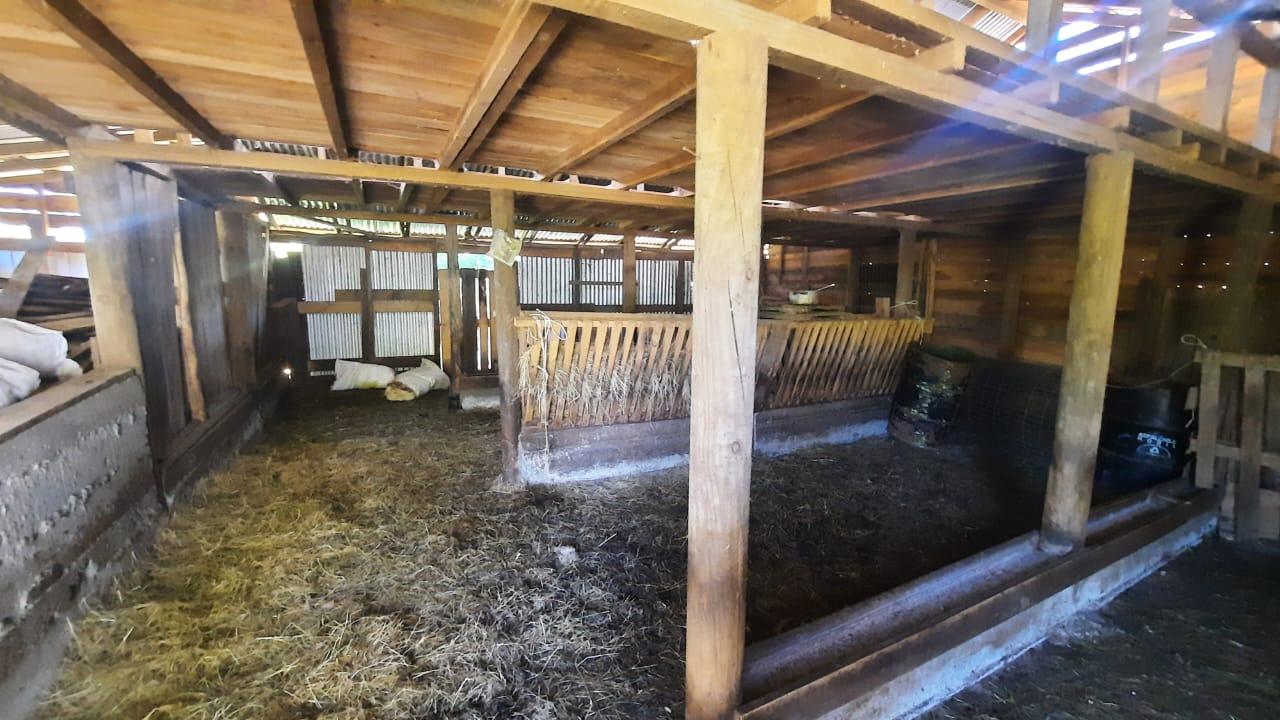 Foto 18