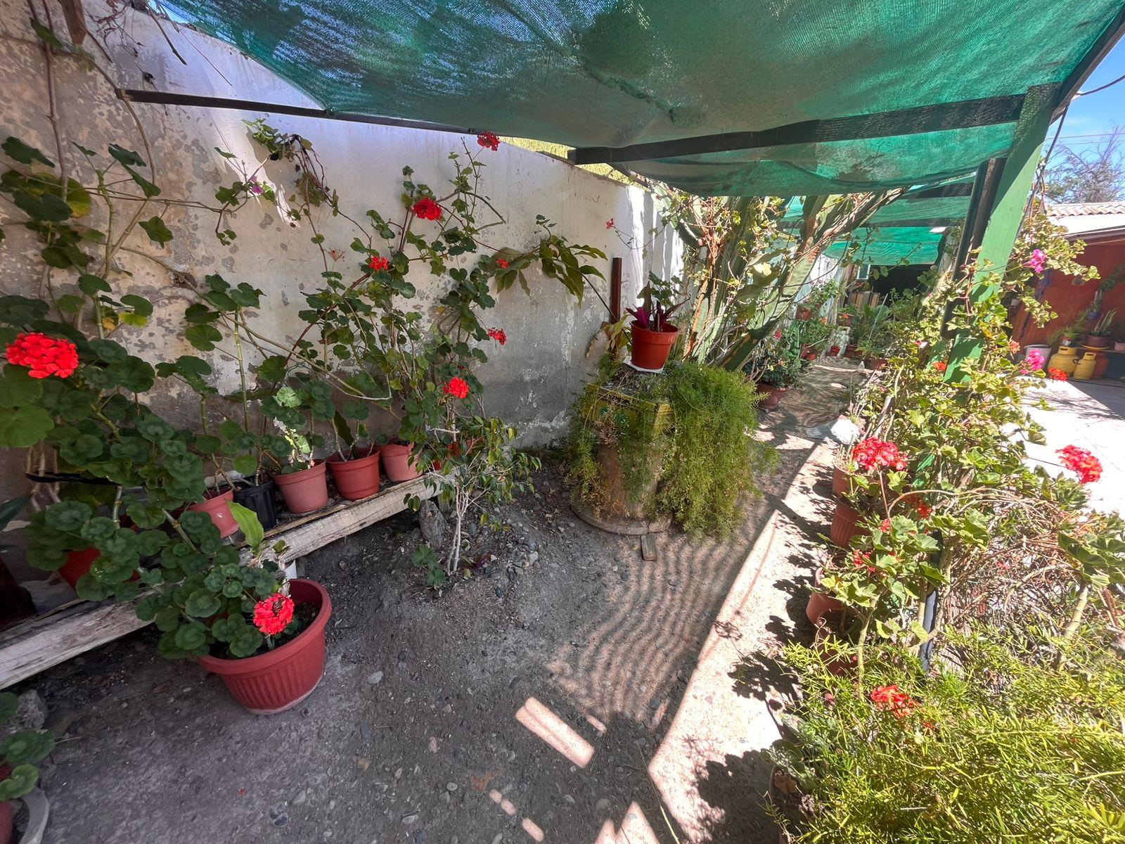 Foto 28