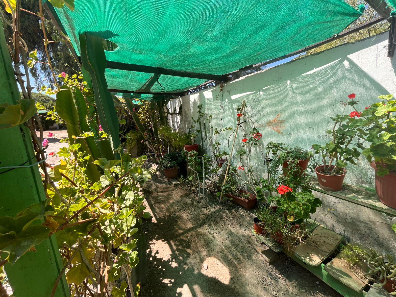 Foto 29