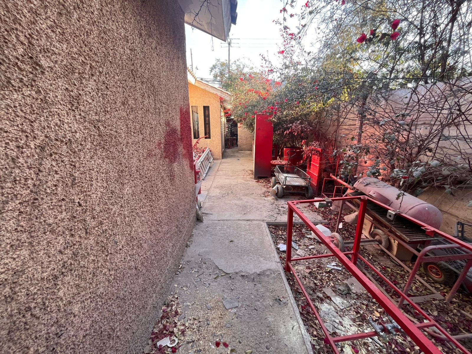 Foto 19